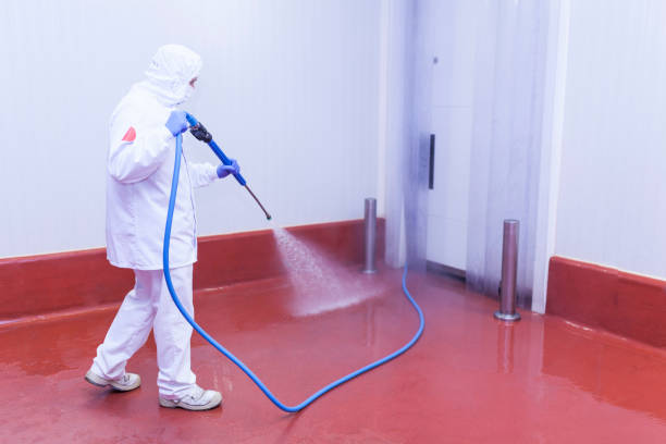 Best Concrete Sealing  in West Alexandria, OH